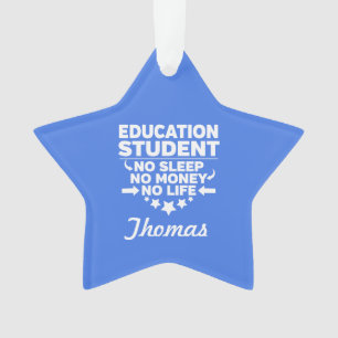 Education Student No Life or Money Ornament