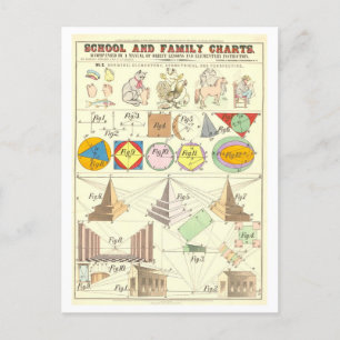 Educational Chart for Three Types of Drawing Postcard
