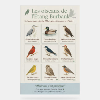 Educational Poster – Birds of Étang Burbank (