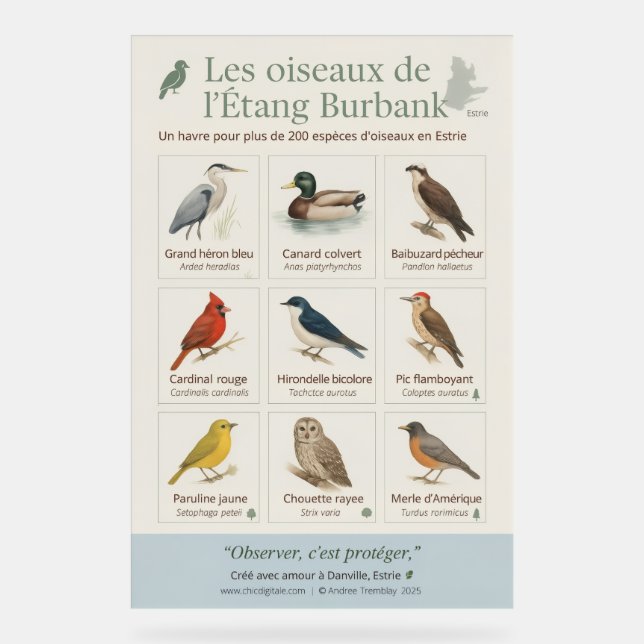 Educational Poster – Birds of Étang Burbank ( (Front)