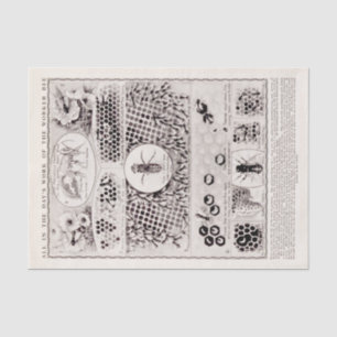 Educator's Series Worker Bee Vintage Poster Tissue Paper