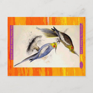 Edward Lear. New Holland Parakeet. Male and female Postcard