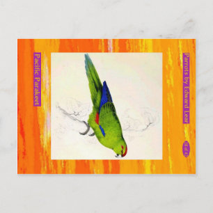 Edward Lear. Pacific Parakeet. Postcard