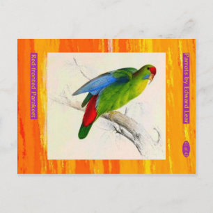 Edward Lear. Red-fronted Parakeet. Postcard