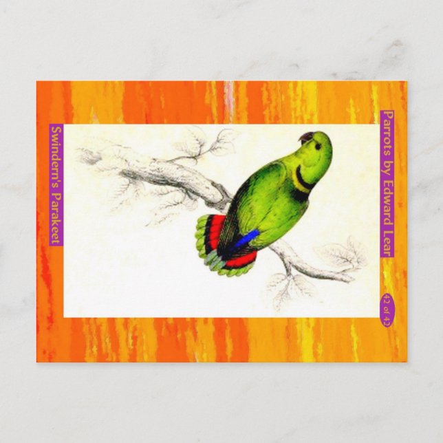 Edward Lear. Swindern's Parakeet. Postcard (Front)