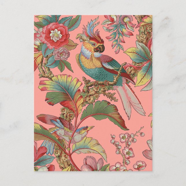 Edwardian Parrot ~ Duchess Postcard (Front)