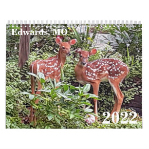 Edwards, MO 2022 Calendar