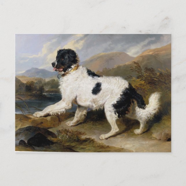 Edwin Henry Landseer Lion A Newfoundland Dog Postcard (Front)
