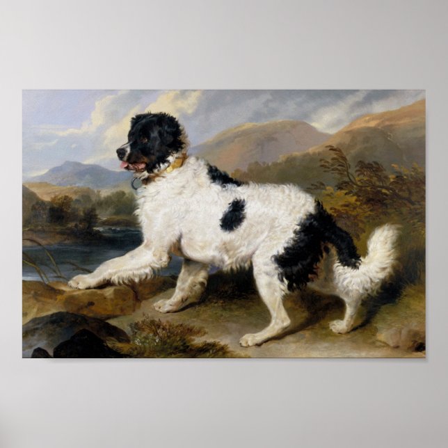 Edwin Henry Landseer | Lion- A Newfoundland Dog Poster (Front)