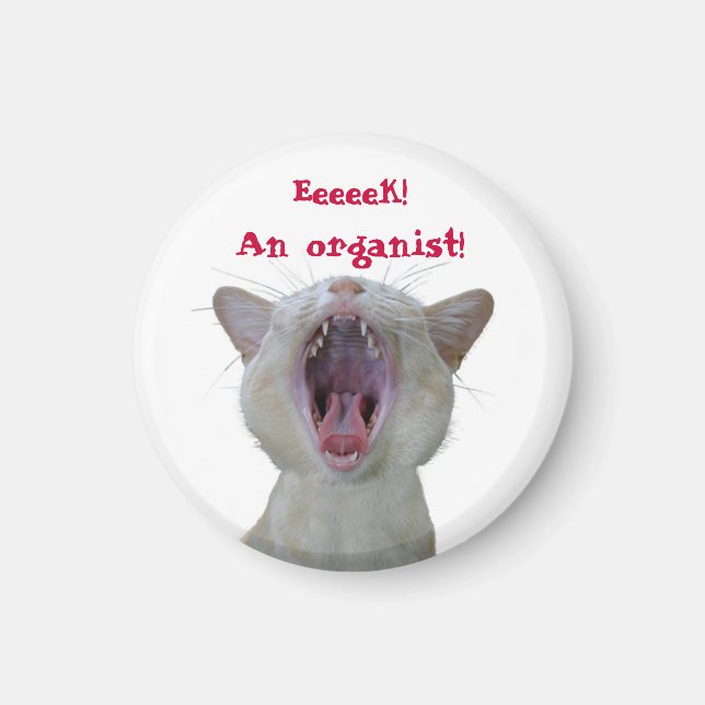 Eeek! An organist! Magnet (Front)