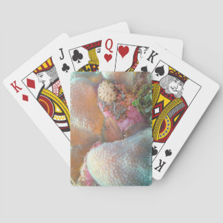 Eel Poker Cards