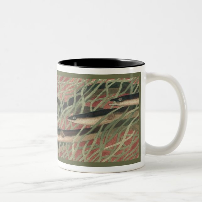 Eels - Coffee Mug (Right)