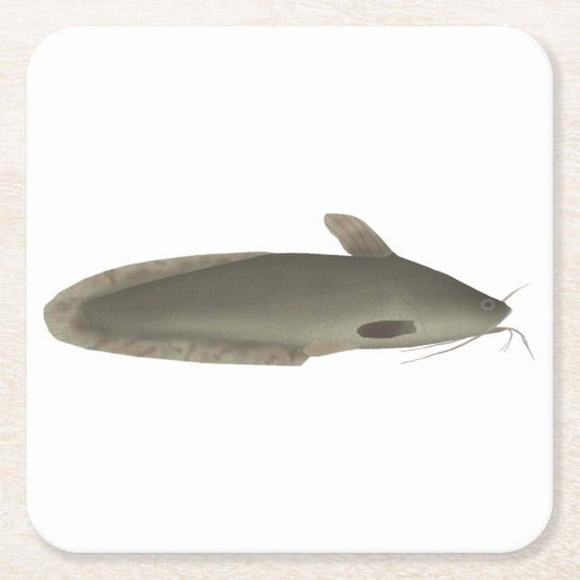 Eeltail Catfish Square Paper Coaster (Front)