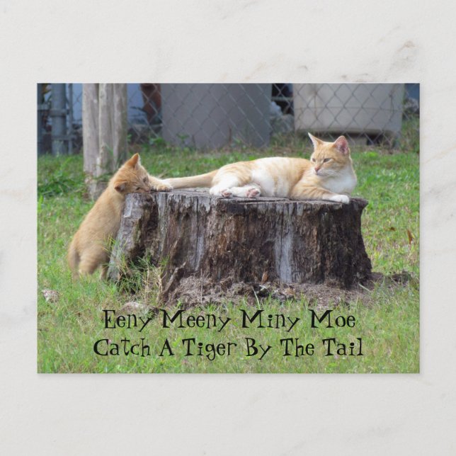 Eeny Meeny Miney Moe ... Postcard (Front)
