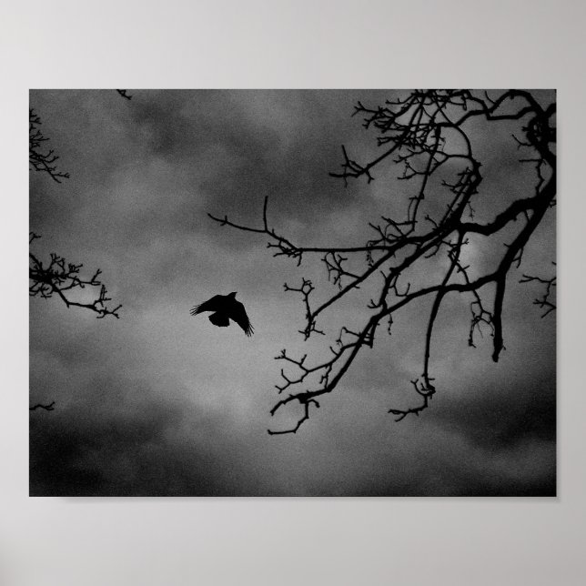 Eerie Bird in Flight Poster (Front)