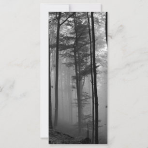 EERIE FOREST TREES LEAVES B&W