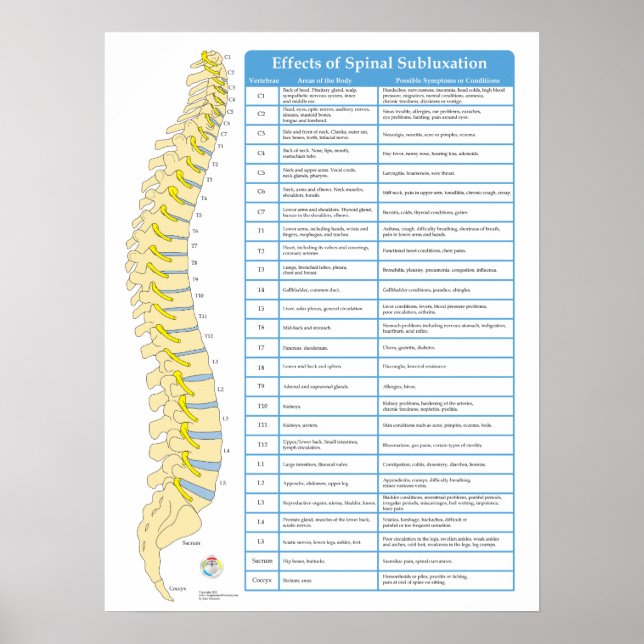 Effects of Spinal Subluxation Chiropractic Poster (Front)