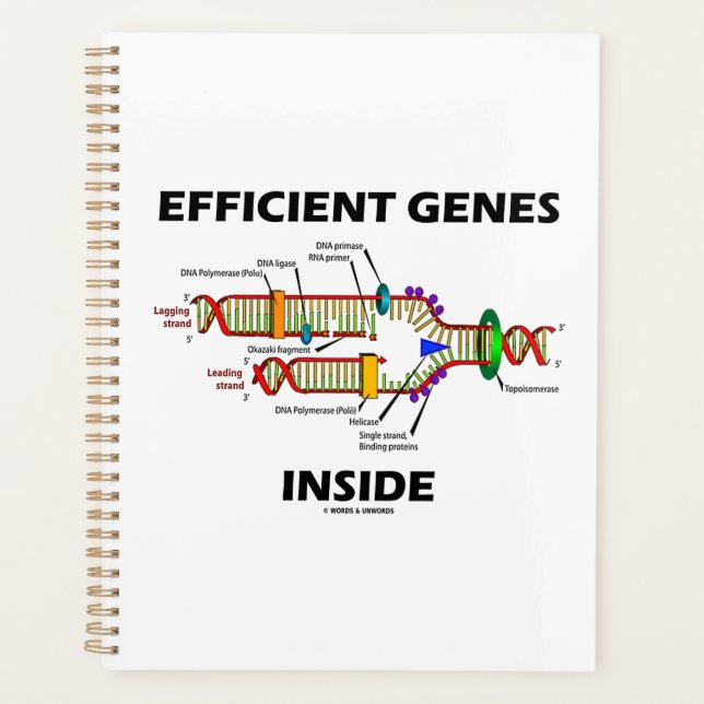 Efficient Genes Inside DNA Replication Humour Planner (Front)
