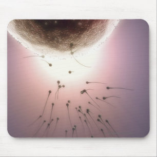 Egg being fertilised by sperm mouse pad