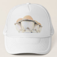 Egg Carton Hat