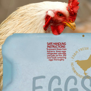 Egg carton MANDATORY SAFE HANDLING INSTRUCTIONS Rubber Stamp