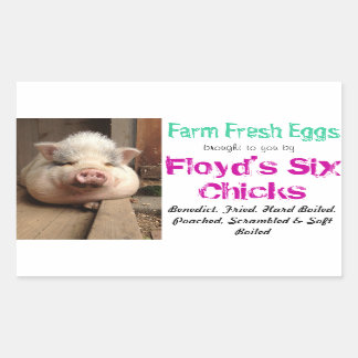 Egg Carton Sticker
