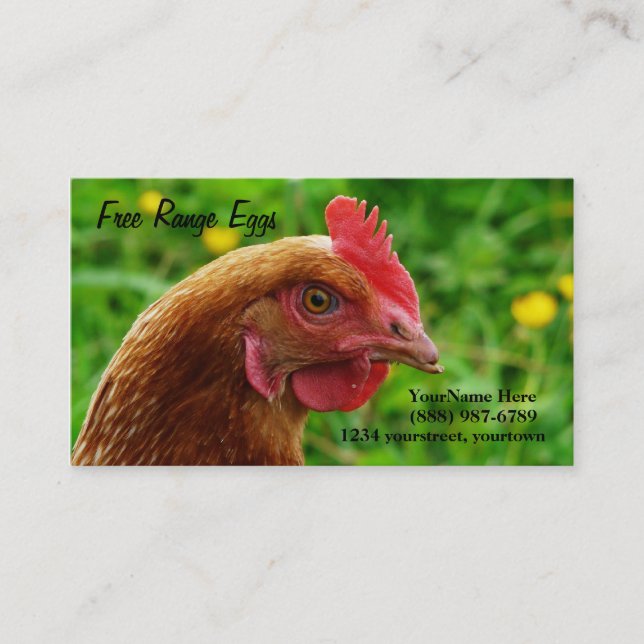 Egg Farm Rhode Island Red Hen  Business Cards (Front)