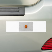 Egg with salt bumper sticker (On Car)