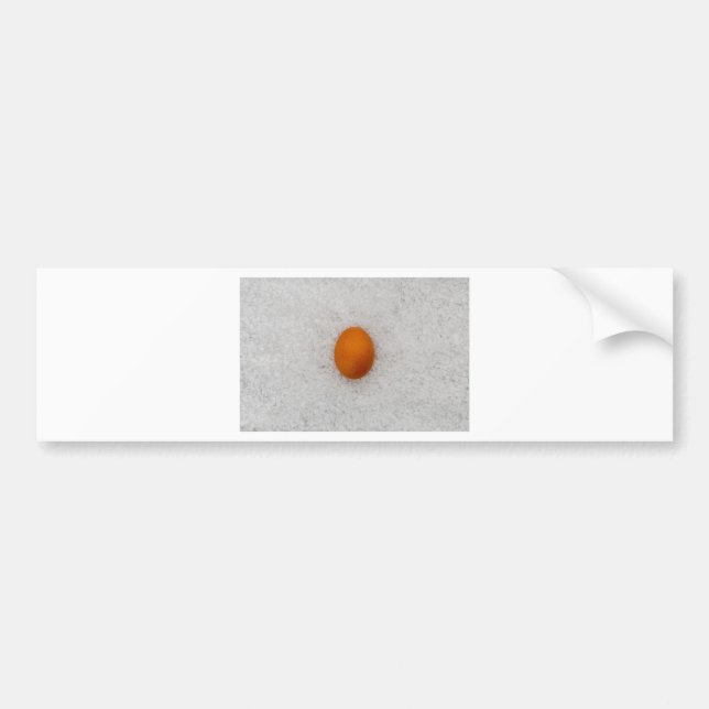 Egg with salt bumper sticker (Front)
