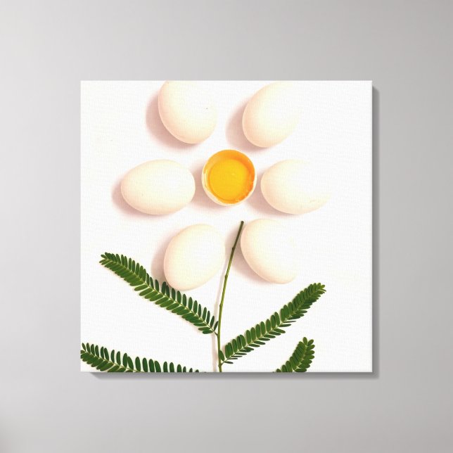 Egg Yolk Flower Canvas Print (Front)