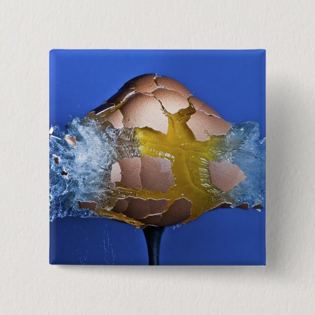 Eggceptional 15 Cm Square Badge (Front)