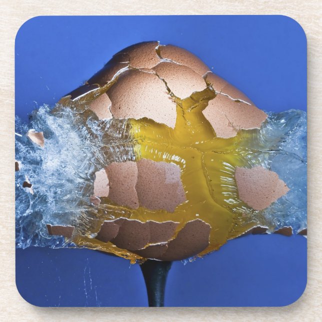 Eggceptional Coaster (Front)