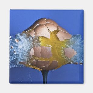 Eggceptional Magnet