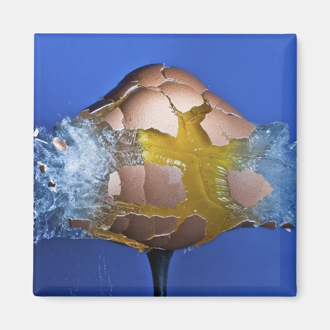 Eggceptional Magnet (Front)