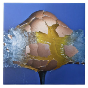 Eggceptional Tile