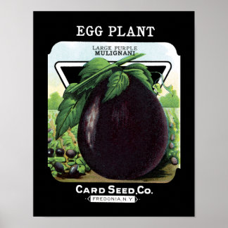 Eggplant Seed Packet Label Poster