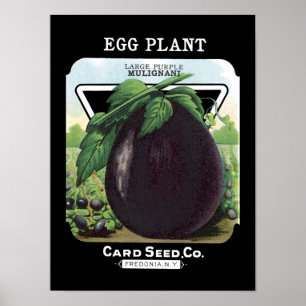 Eggplant Vintage Seed Packet Poster
