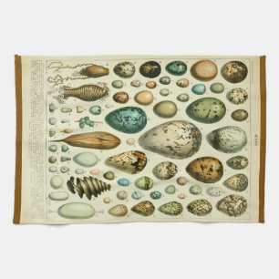 Eggs antique natural history illustration millot tea towel