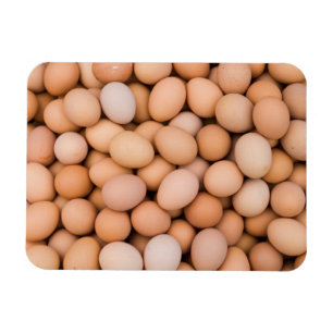 Eggs, Huaraz, Cordillera Blanca, Ancash, Peru Magnet