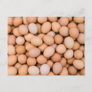 Eggs, Huaraz, Cordillera Blanca, Ancash, Peru Postcard