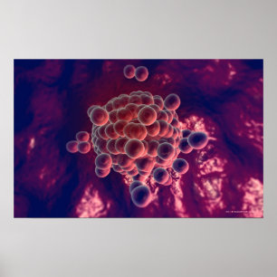 Eggs in an ovum poster
