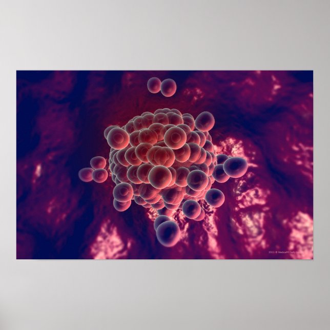 Eggs in an ovum poster (Front)