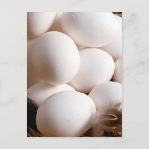 Eggs Postcard