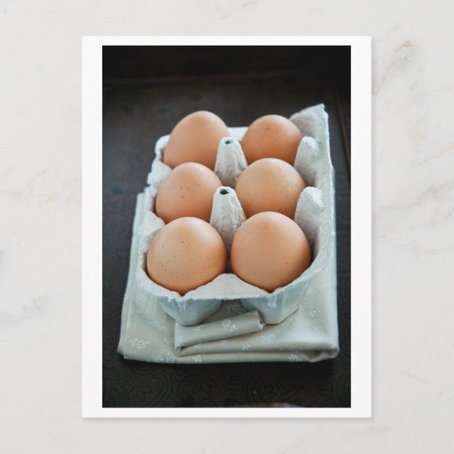 Eggs Postcard (Front)