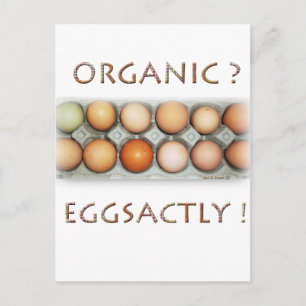 EGGSACTLY POSTCARD