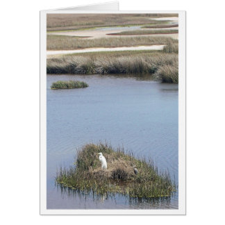Egret At Home