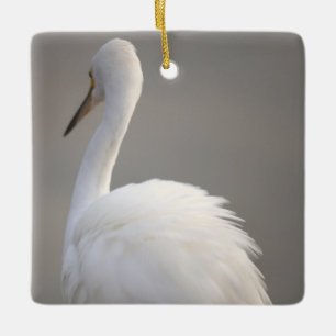 Egret Bird Ornament