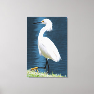 Egret Bird Wall Art Minimalist Nature Coastal