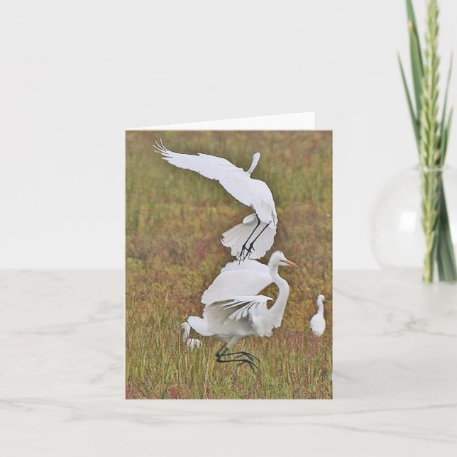 Egret Birds Wildlife Animals Wetlands Note Card (Front)