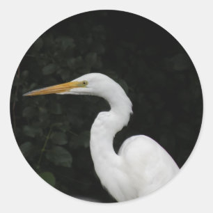 Egret  classic round sticker